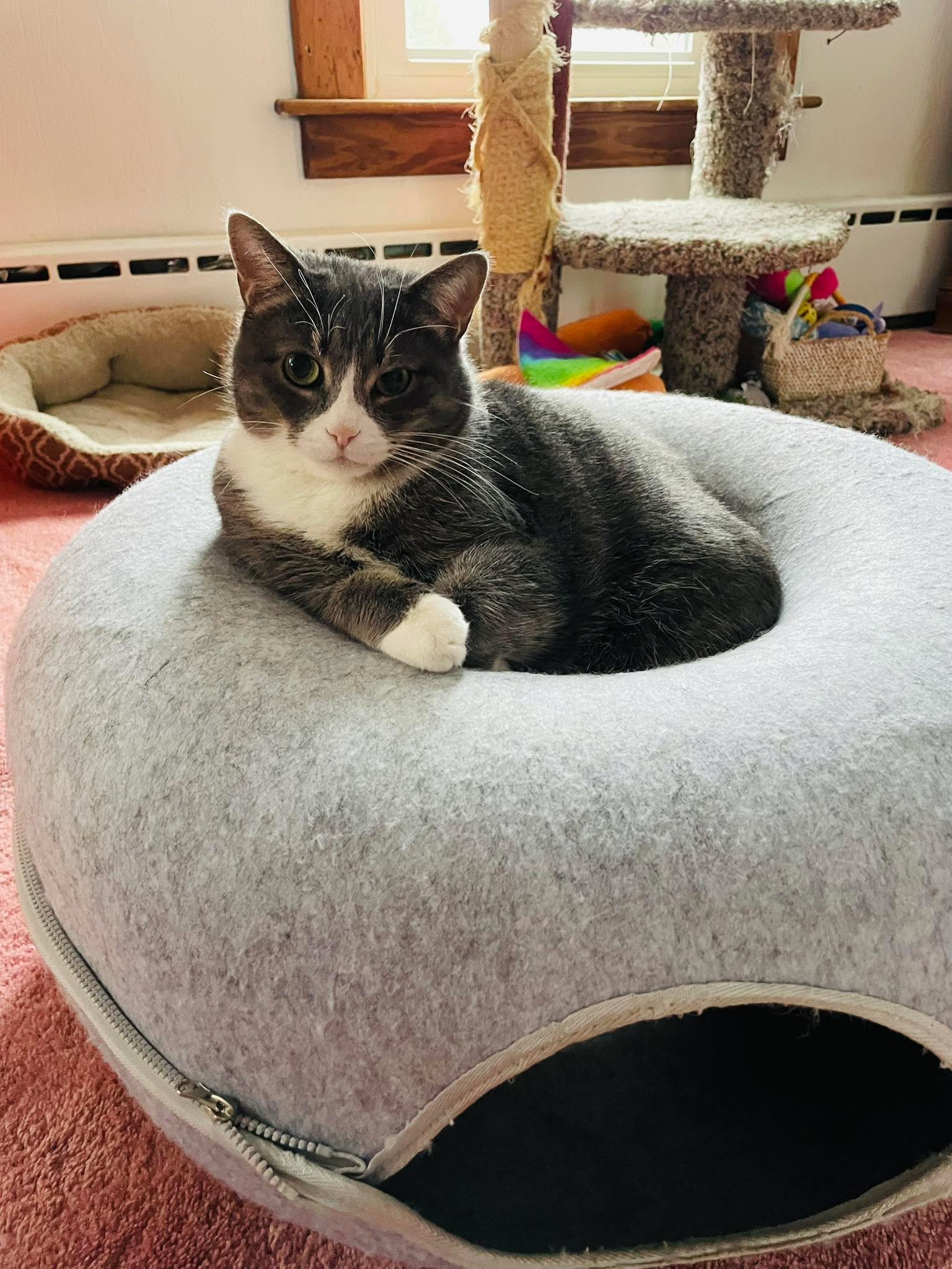 Mama is so ready for a long weekend. She’s tired of being stuck in her cubicle. ❤️